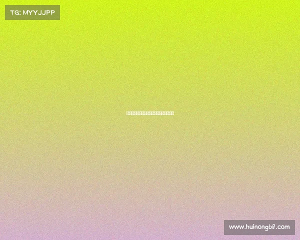 网球比赛现场秩序管理与观众行为规范研究