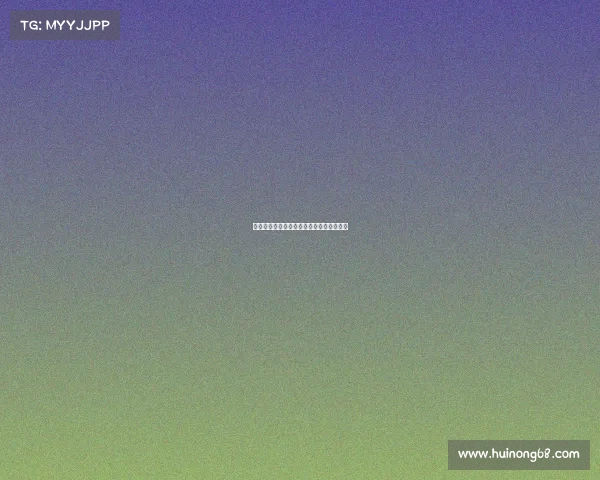 网球比赛现场秩序管理与观众行为规范研究