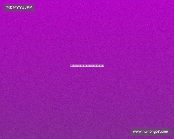 法甲球迷文化探析与球场氛围演变的历史与未来趋势